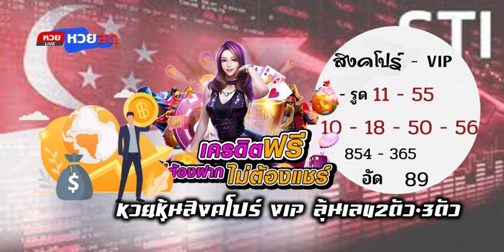 Singapore stock lottery vip-01